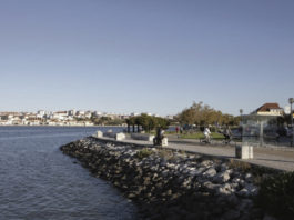Festival ambiental no Seixal senta-se à mesa com o Fado